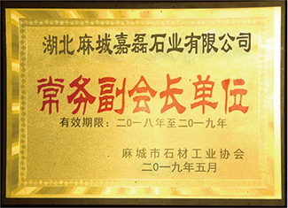 常務(wù)副會長單位